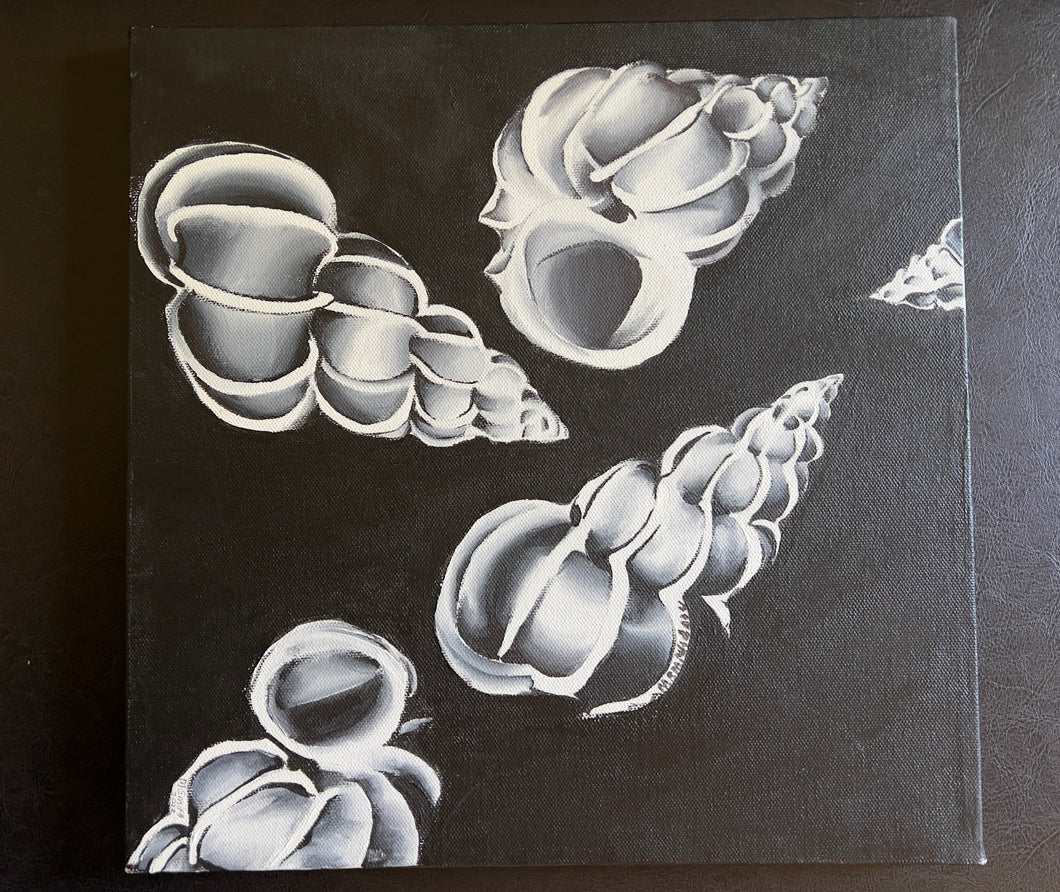 Shells