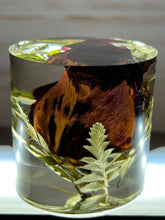 Load image into Gallery viewer, Cube, Pyramid &amp; Cylinder Art / Preservation / Paper Weight

