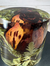 Load image into Gallery viewer, Cube, Pyramid &amp; Cylinder Art / Preservation / Paper Weight
