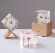 Load image into Gallery viewer, Cube Ball, Square, Paperweight, Art, Custom
