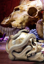 Load image into Gallery viewer, Skull Art Custom Made

