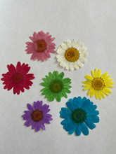 Load image into Gallery viewer, Daisy Earrings
