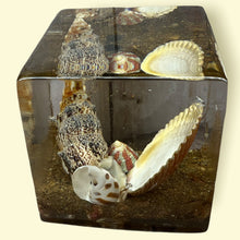 Load image into Gallery viewer, Cube, Pyramid &amp; Cylinder Art / Preservation / Paper Weight

