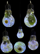 Load image into Gallery viewer, Light Up Resin Bulbs - Traditional or Tube - Custom Order

