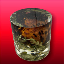 Load image into Gallery viewer, Cube, Pyramid &amp; Cylinder Art / Preservation / Paper Weight
