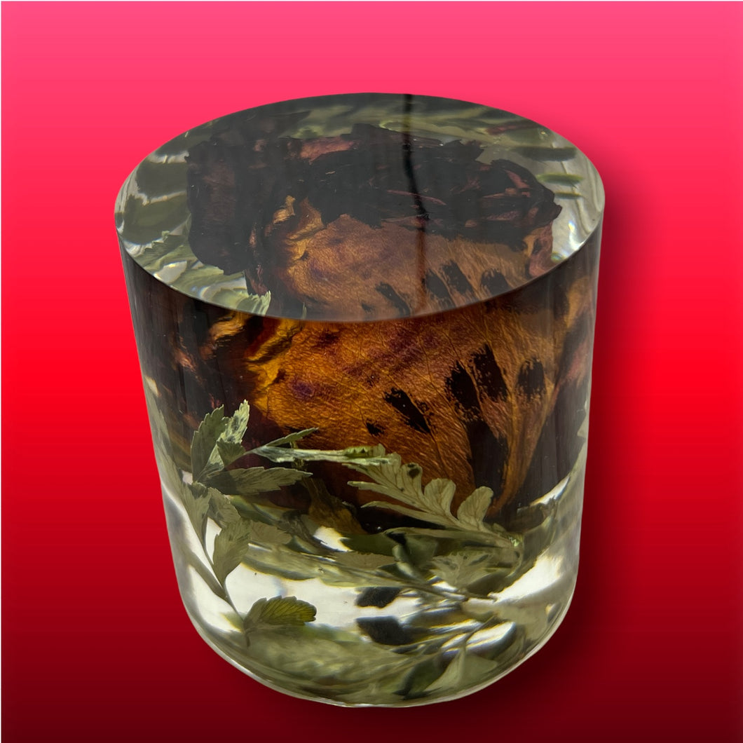 Cube, Pyramid & Cylinder Art / Preservation / Paper Weight